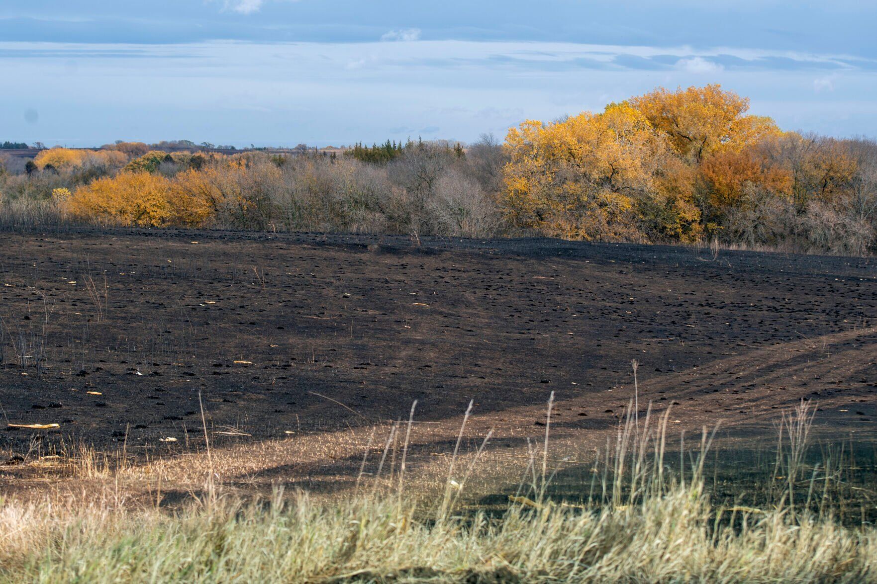 Grass fire, 10.24